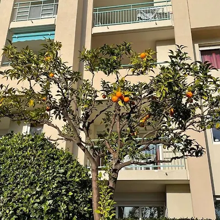 Apartman Vue Mer/piscine-les Pins Bleus